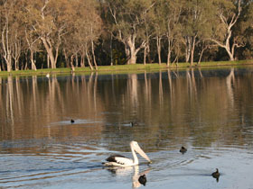 Drysdale Cheeses - Accommodation Ballina 7