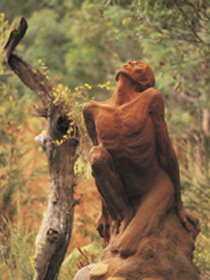 Drysdale Cheeses - Accommodation Ballina 10