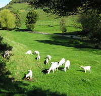 Karmic Goat Soapworks - Accommodation Ballina