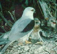 Bushy Park Wetlands - Accommodation Ballina