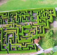 Hedgend Maze and Healesville Laser Sport - Accommodation Ballina