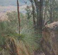 Mount Lawson State Park - Accommodation Ballina