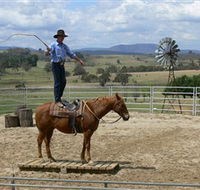 Boggy Creek Shows - Accommodation Ballina
