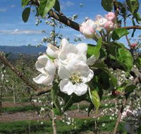 Mouat's Farm - Accommodation Ballina