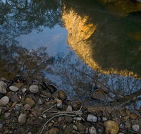 Abercrombie Karst Conservation Reserve - Accommodation Ballina