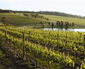 Yabby Lake Vineyard & Cellar Door - Accommodation Ballina 7
