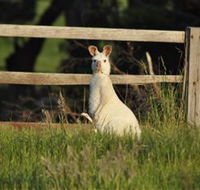 Panorama Garden Estate - Accommodation Ballina