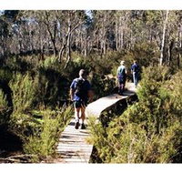 Hume and Hovell Walking Track - Henry Angel Trackhead - Accommodation Ballina