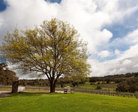 Tuck's Ridge - Accommodation Ballina 2