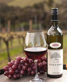 Tuck's Ridge - Accommodation Ballina 4