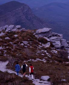 Bluff Knoll, Stirling Range National Park - Accommodation Ballina 0