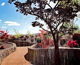 The Water Garden At Mayfield Garden - Accommodation Ballina 2