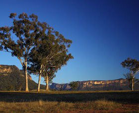 Capertee Valley Bird Trail - Accommodation Ballina 0