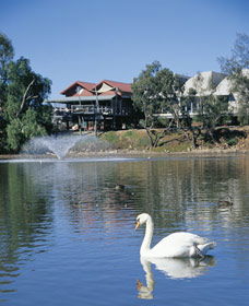 Avon River - Accommodation Ballina 3