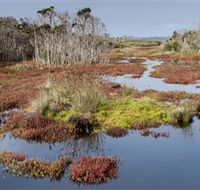 French Island National Park - Accommodation Ballina