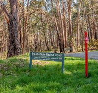 Lobs Hole Ravine 4WD Trail - Accommodation Ballina