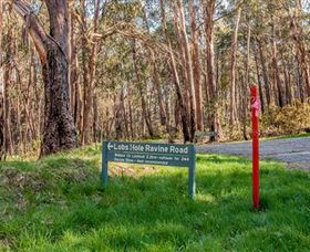 Lobs Hole Ravine 4WD Trail - Accommodation Ballina 0