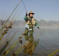 Lake Wallace - Accommodation Ballina