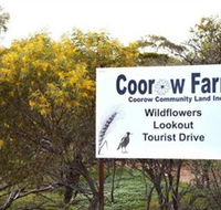 Coorow Farm Wildflower Trail - Accommodation Ballina