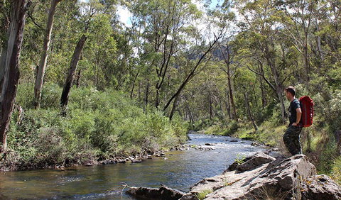 Yarrangobilly Caves - Accommodation Ballina 1