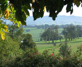 Brandy Creek Wines & View Cafe - Accommodation Ballina 5
