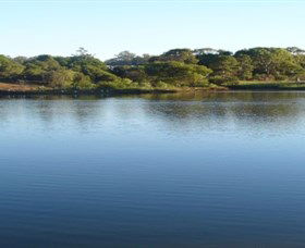 Toowoomba Water Bird Habitat - Accommodation Ballina 2