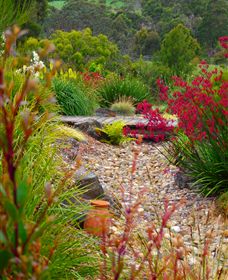 Ungulla Country Garden - Accommodation Ballina 1