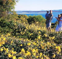 Joseph Banks Conservation Park - Accommodation Ballina