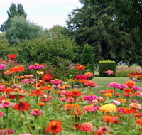 Alma Park - Accommodation Ballina