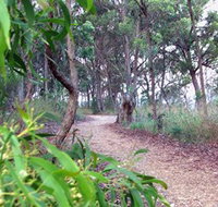 Mount Mutton Walking Trail - Accommodation Ballina