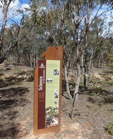 Mulligans Flat - Accommodation Ballina 1