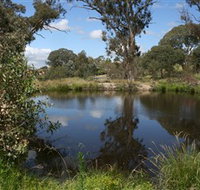 Cooleman Ridge - Accommodation Ballina