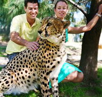 National Zoo  Aquarium - Accommodation Ballina