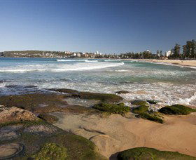 Manly Surf School - Accommodation Ballina 5