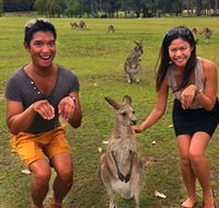 Runaway Tours - Accommodation Ballina