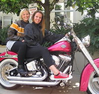 Wild Ride Harley and Motorcycle Tours - Accommodation Ballina