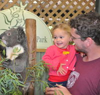 Blue Diamond Tours - Accommodation Ballina