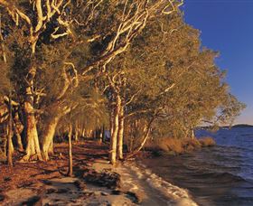 East Coast Adventure Bus - Accommodation Ballina 2