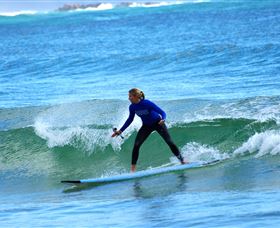 East Coast Adventure Bus - Accommodation Ballina 3