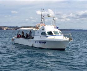 Deep Sea Fishing Charter - Accommodation Ballina 3