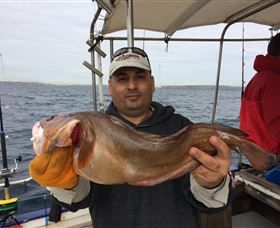 Deep Sea Fishing Charter - Accommodation Ballina 5