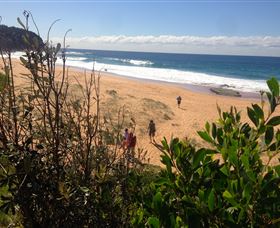 EcoTreasures - Accommodation Ballina 2