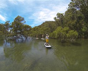 EcoTreasures - Accommodation Ballina 1