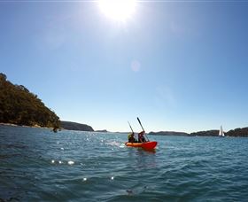 EcoTreasures - Accommodation Ballina 4