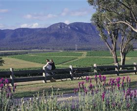 Cloud9 Tours - Accommodation Ballina 7