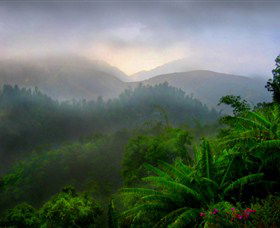Dingo Tours - Accommodation Ballina 2