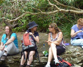 Dingo Tours - Accommodation Ballina 1