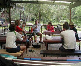 Dingo Tours - Accommodation Ballina 5
