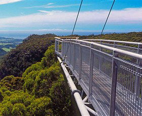 Dingo Tours - Accommodation Ballina 4