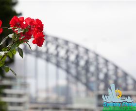 Sydney Photo Tours - Accommodation Ballina 3